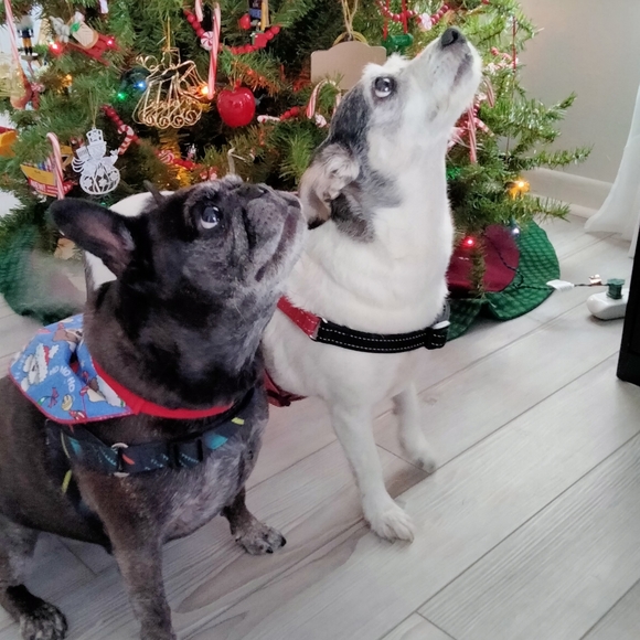 Meet your Posher, Ewa - Picture 7 of 16